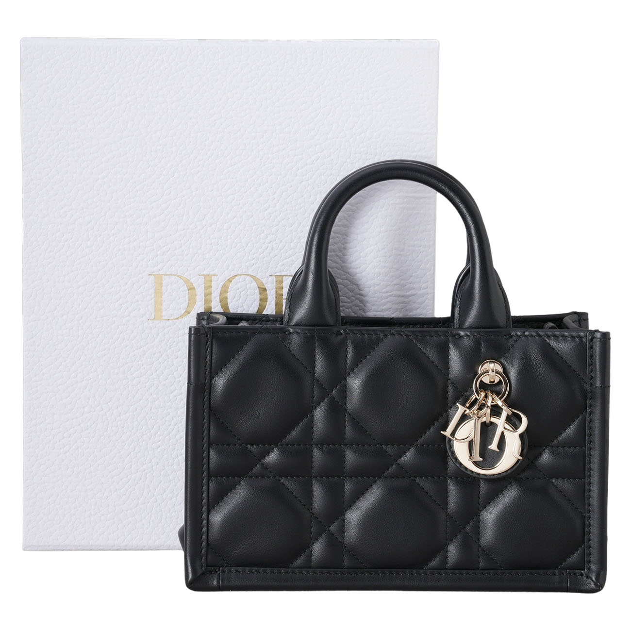 CHRISTIAN DIOR(USED)디올 레더 북토트 미니